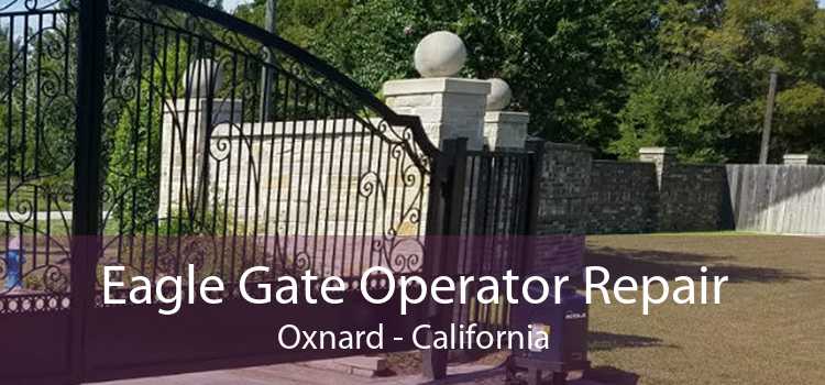 Eagle Gate Operator Repair Oxnard - California